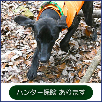 基礎講座の様子